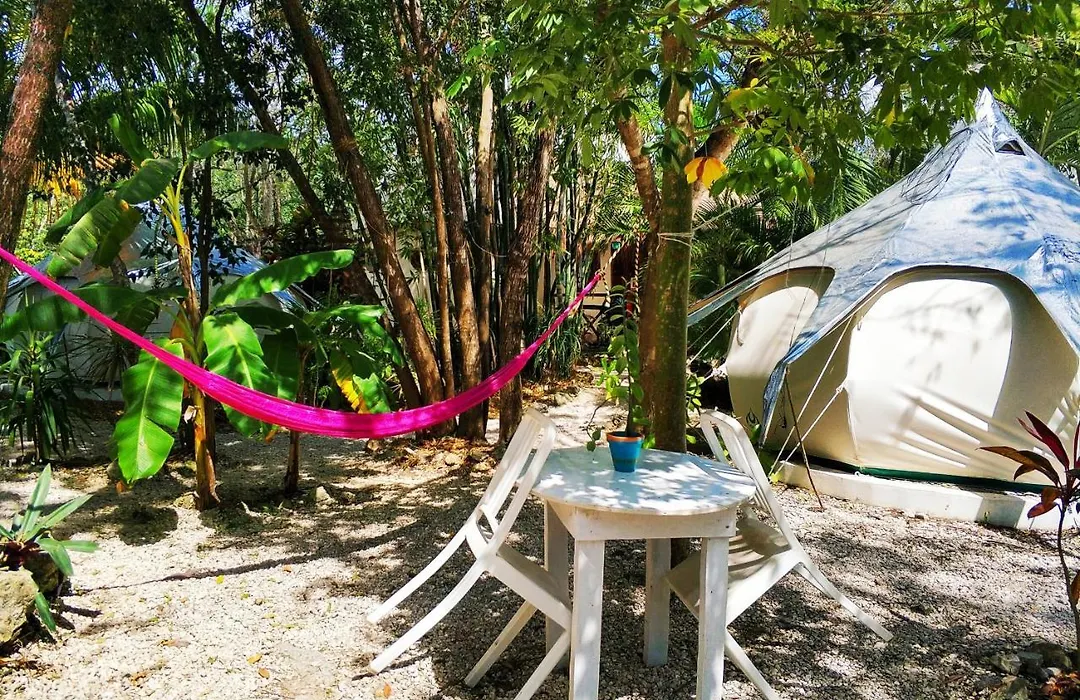 Harmony Glamping Boutique Hotel And Yoga-1