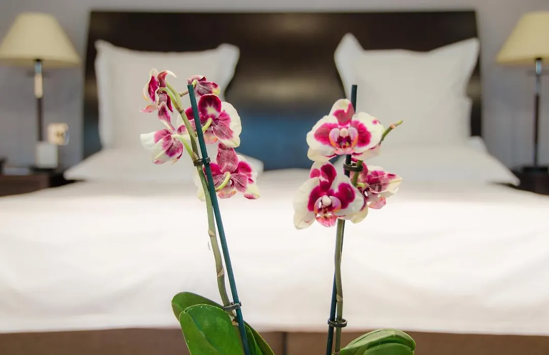 Hotel Felix-1