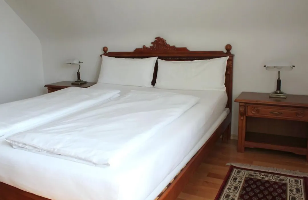 Hotel Viktoria-1