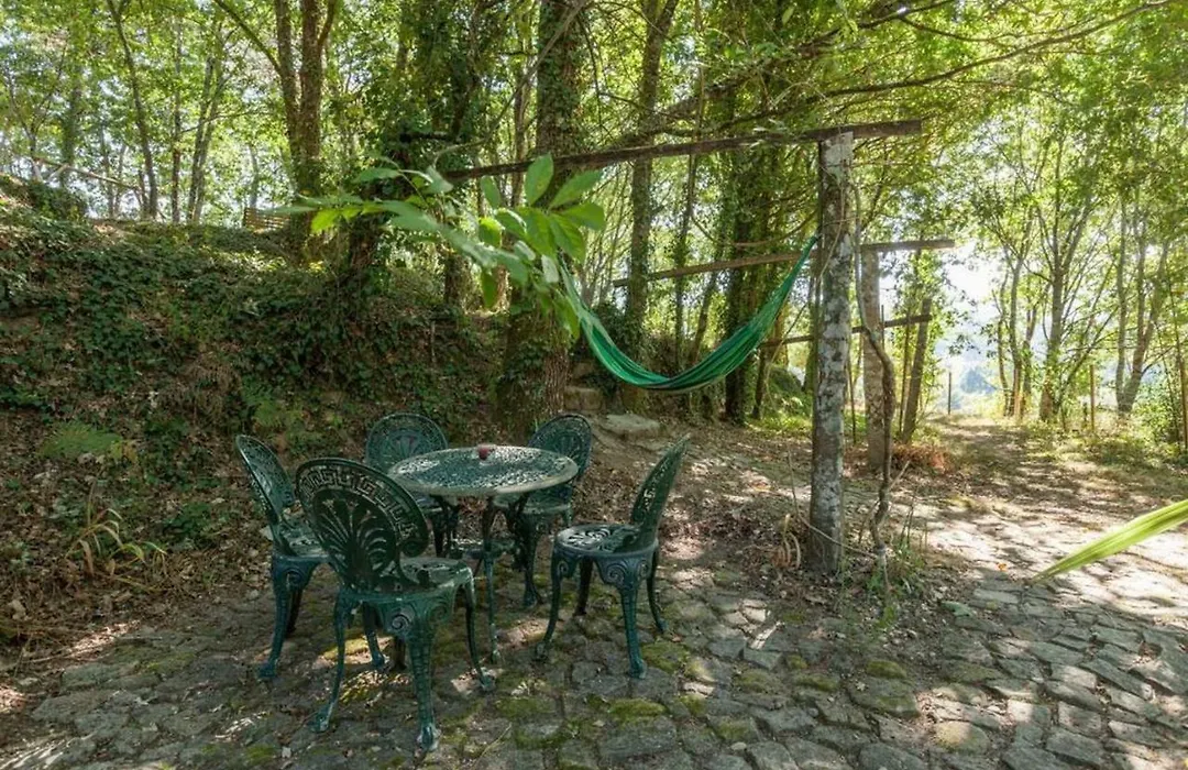 Conheca O Minho E Descanse Em Plena Natureza-Suite-1