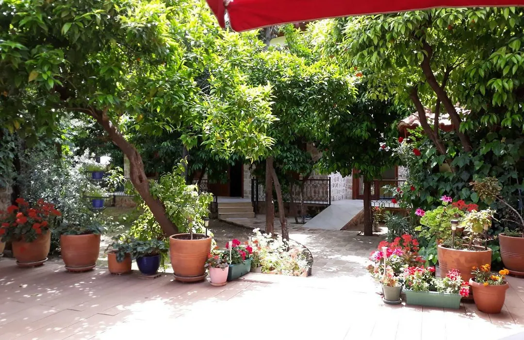 Citrus Garden Hotel-1