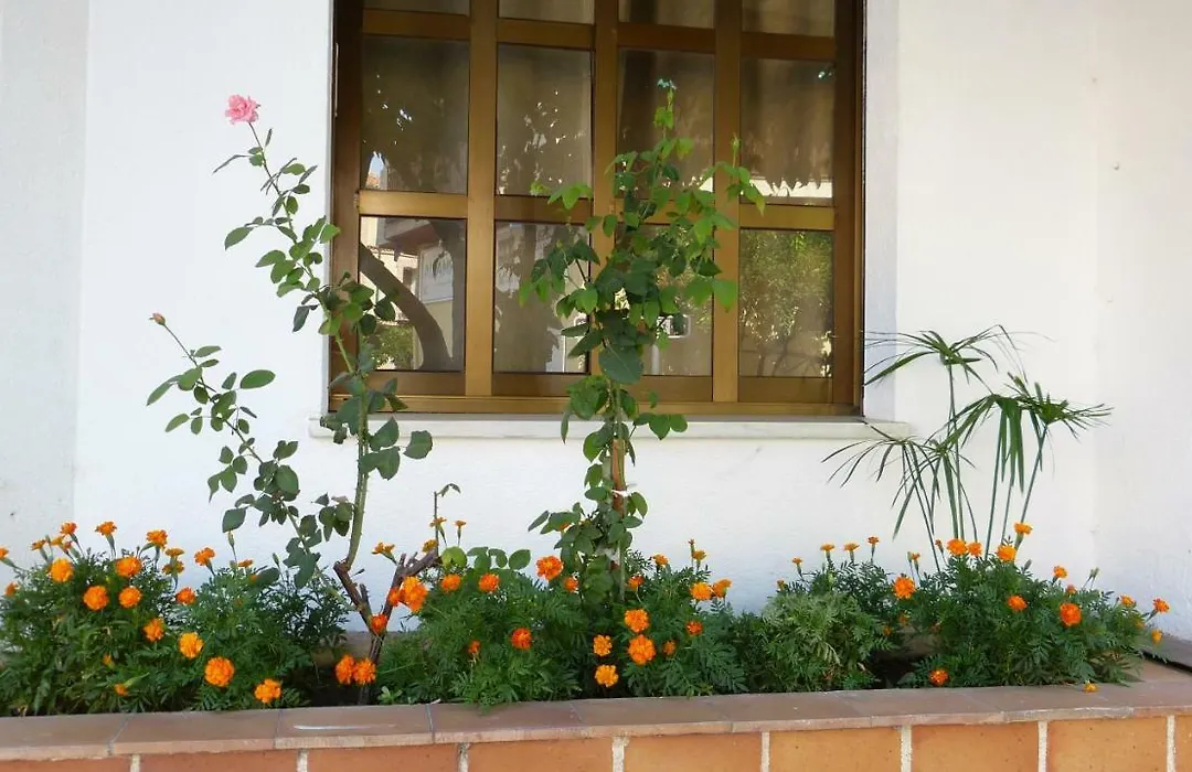 Hostal Candeleda-1