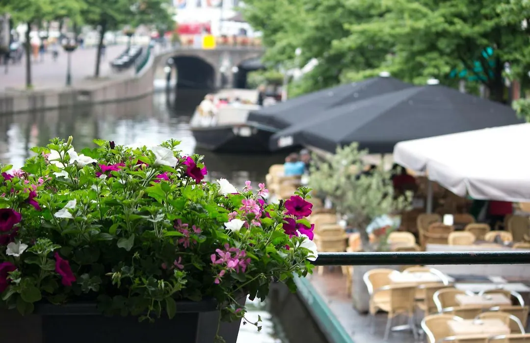 Nr22 Leiden-1