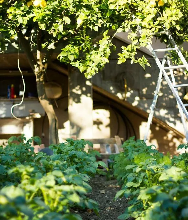 Arcobaleno B&B-1