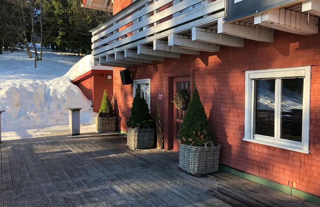 Auerhahn-1