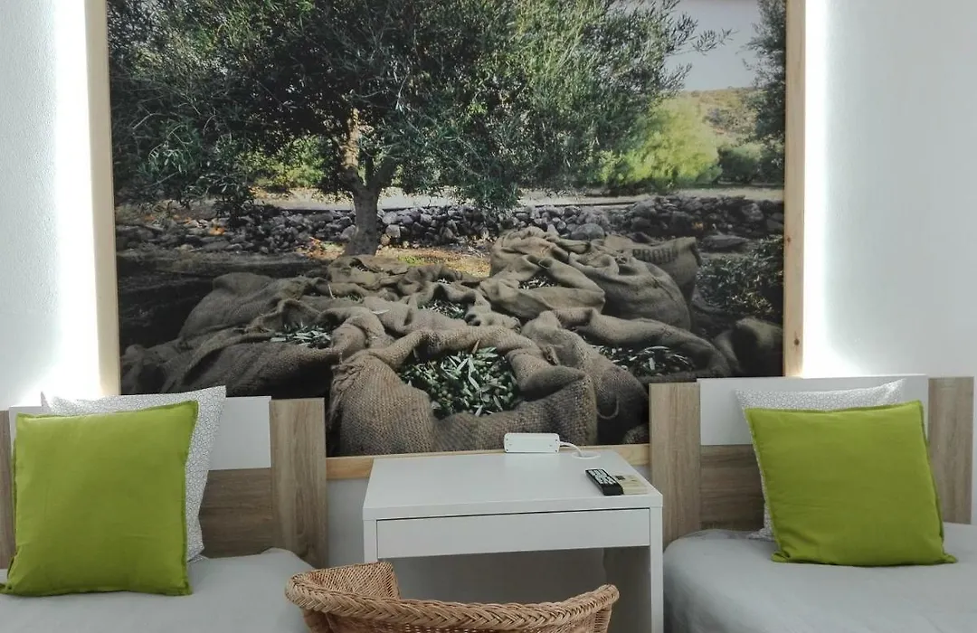 Guesthouse Alentejo-1