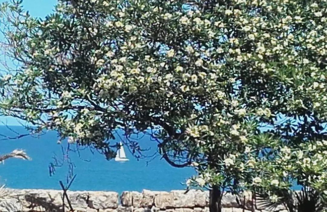 Sbarcatore dei Turchi-1