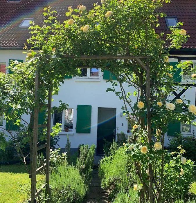Buxhaus-1