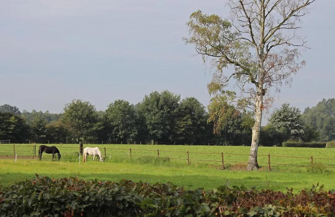 Bed & Breakfast De Lindehoek-1