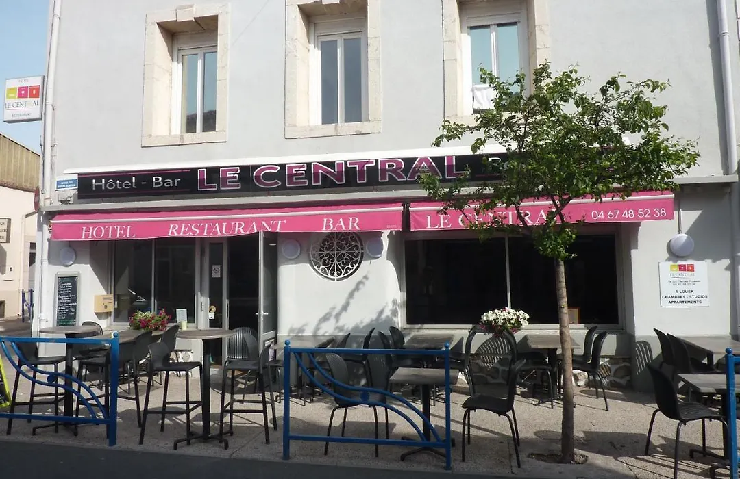 Hotel Le Central-1