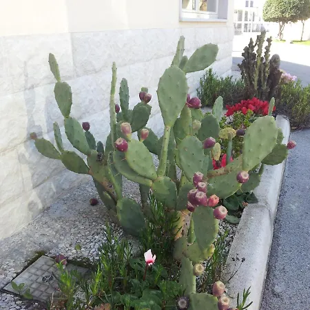 Hotel Giardino-3