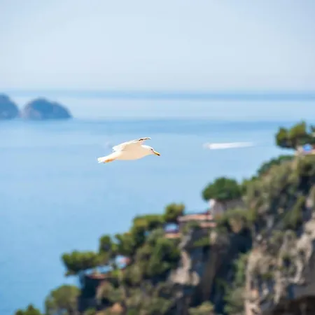Casa Caprile Positano-3