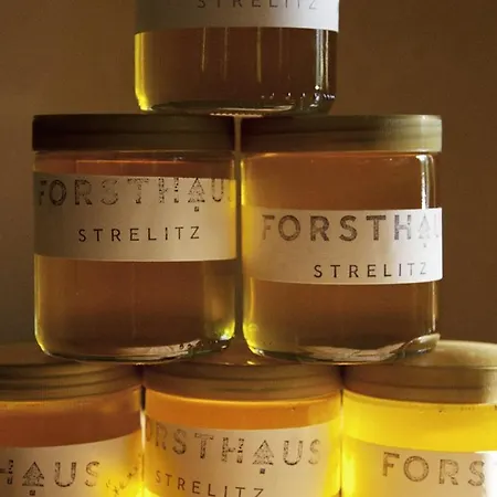 Forsthaus Strelitz-3