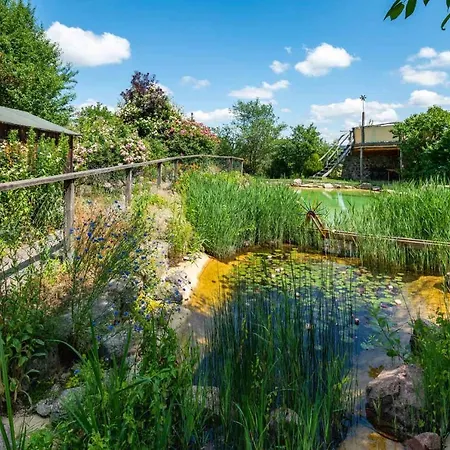 Landhotel Gut Wildberg mit Sauna-2