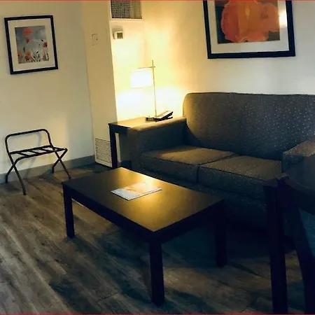 Baymont By Wyndham Tampa Near Busch Gardens-2
