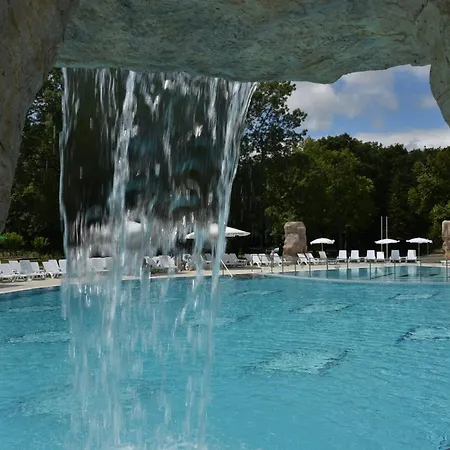 Hotel Forest Beach-2