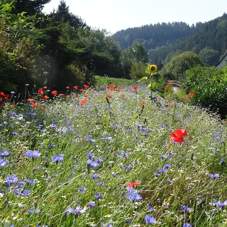 The Conscious Farmer Bed And Breakfast Sauerland-3