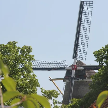 Silly'S Inn-2
