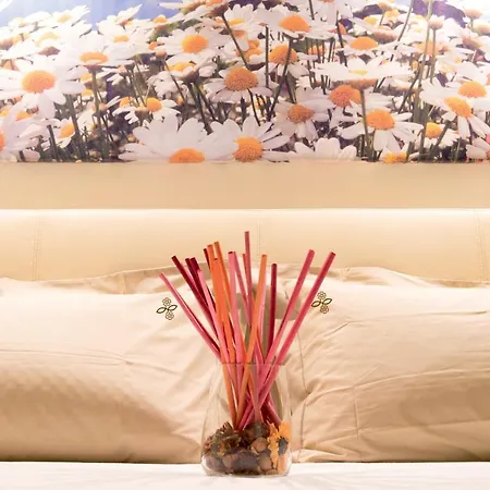 B&B Li Tarici-2