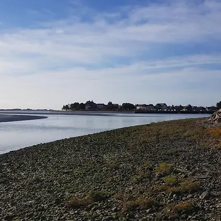 BAIE DE SOMME - Le pourquoi pas-3