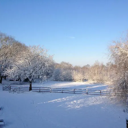 B&B Landgoed Bergerven-2