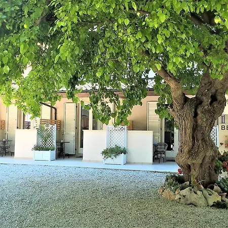 Il Gelso di Sofia B&B-3