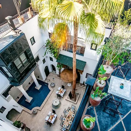 Riad Makila-3
