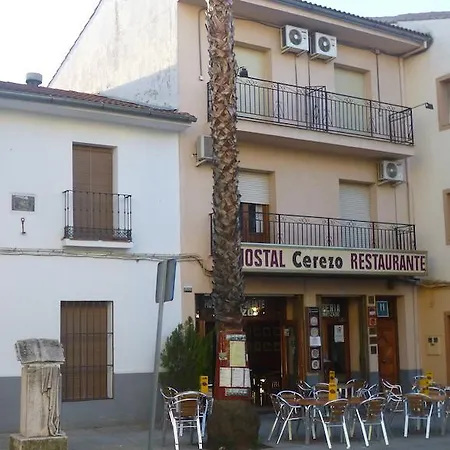 Hostal Cerezo-3