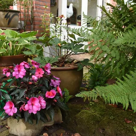 Bed&Breakfast Leonie-3