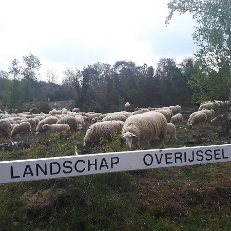 De Hammerhoeve-2