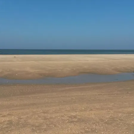 Vitamin Sea-2