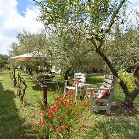 le cabanon de l'olivette-2