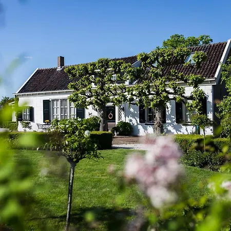 B&B Wilhelmina'S Cottage-3