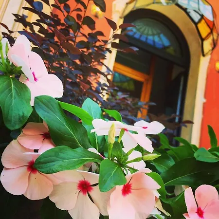 Villa Mirosa-2