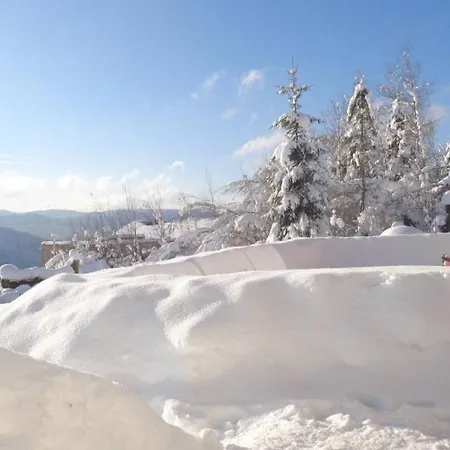 Laptitevosgienne Vue Lac A Gerardmer !-2
