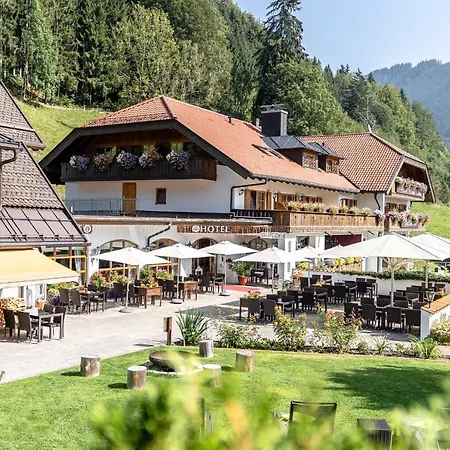 Hotel Blaue Gams ***S-3