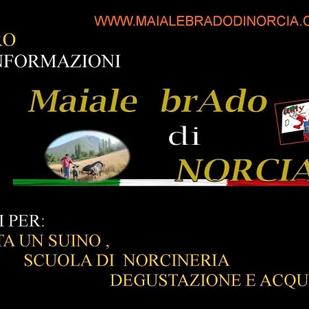 Resort la dimora Maiale brado di Norcia-3