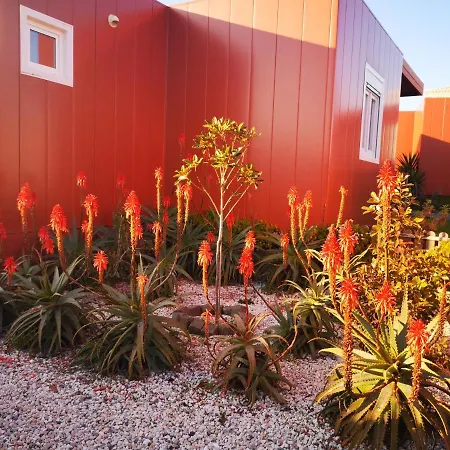 Family Surf Home - Bungalows-3
