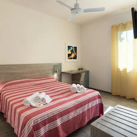 B&B Reef And Dream-2