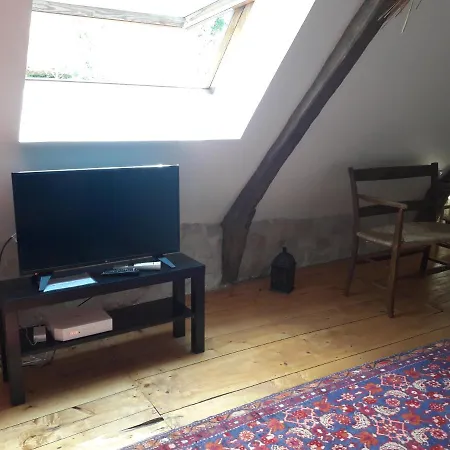 Charme et jardin cœur St Cirq - Appartements-2