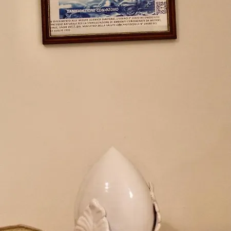 Lo Yacht-2