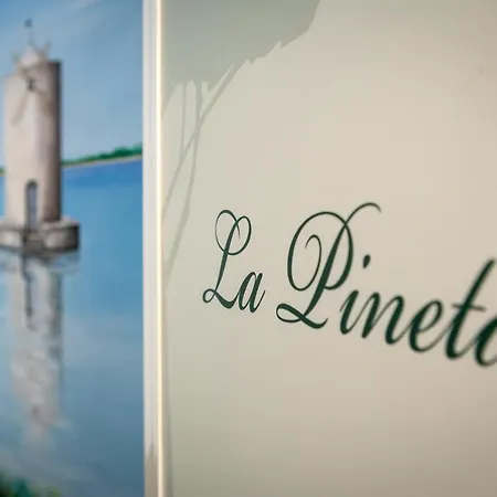 B&B La Pineta-2