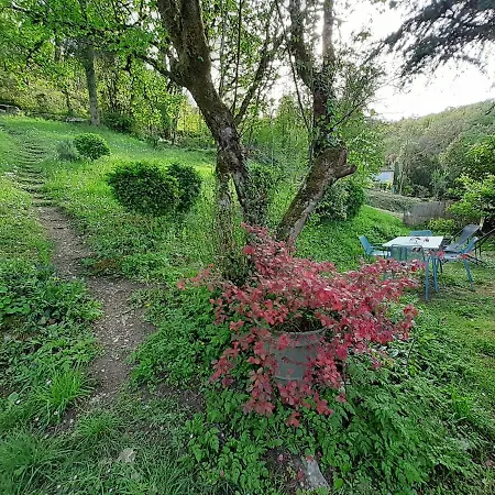 Charme et jardin cœur St Cirq - Appartements-3