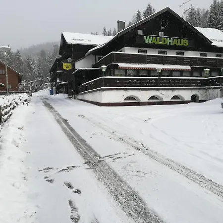 Hotel Waldhaus-3