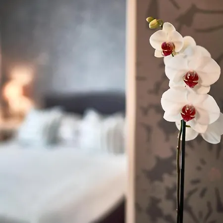 Hotel Clodia - Adults Only-3