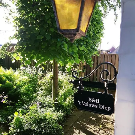 B&B 'T Veluws Diep-3