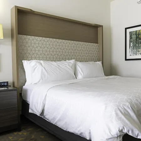 Holiday Inn Glendale - Stadium & Ent Dist By Ihg-3