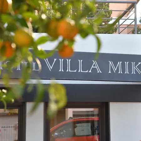 Hotel Villa MIKI-2