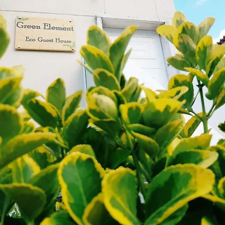 Green Element Guesthouse-2