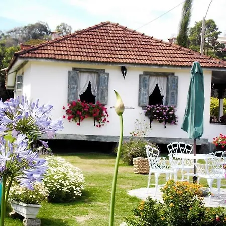 Bristol Vista Azul-3